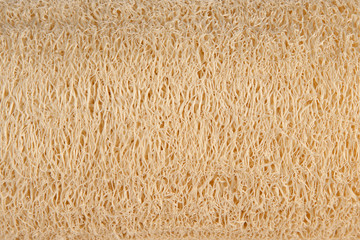 Natural luff sponge texture