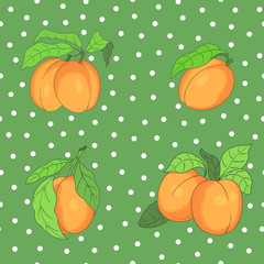 seamless pattern with apricots on the spotted background