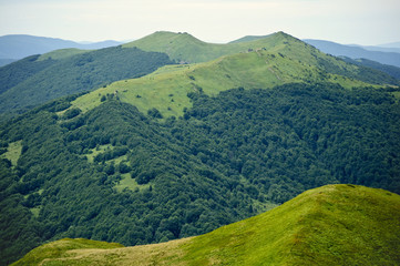 Fototapeta premium Widok na Połoninę Wetlińską