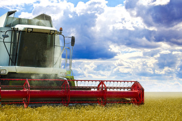 Fototapeta premium Harvester