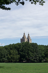 Naklejka premium Central Park