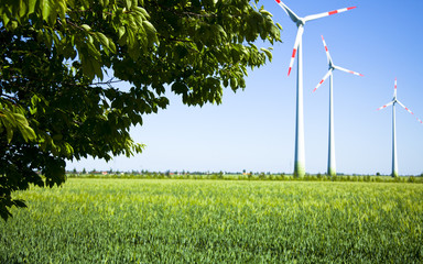 Windräder Energie Natur