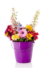 Bucket garden flowers