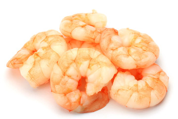shrimp