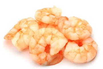 Gordijnen shrimp © Reika
