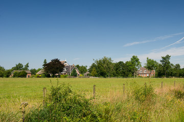 Fototapeta premium Dutch landscape in Friesland