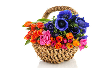 Basket colorful flowers