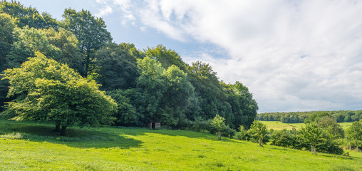 Obraz premium Rural landscape in summer