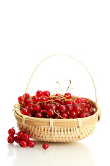 redcurrants in a basket isolated on white