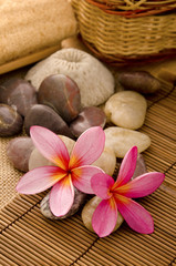 tropical spa with frangipani flowers