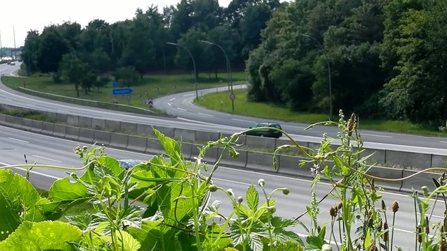Autobahn hinter Vegetation