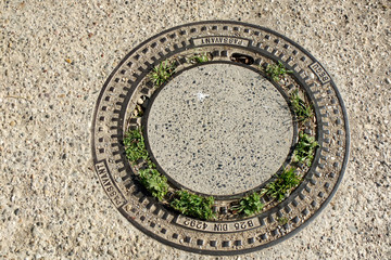 Unkraut am Schtdeckel