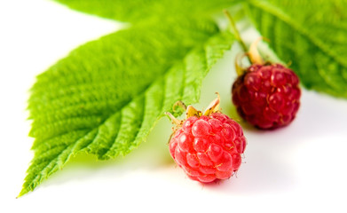 red raspberry on a white background