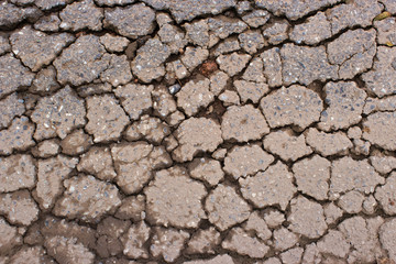 Macro closeup on concrete asphalt cracks on the road