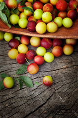 Fresh wild plum