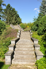 Garden steps