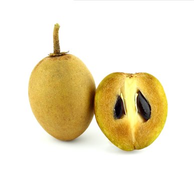 fresh Sapodilla fruits