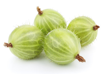 Green gooseberry fruit on white