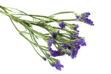 Fototapeta premium букет цветов