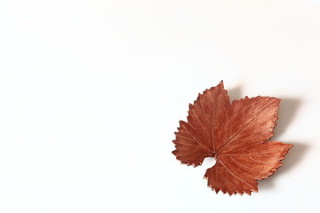 hoja de oto&ntilde;o