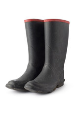 Boots, Wellingtons
