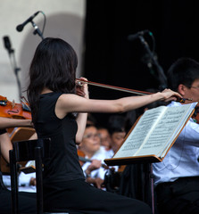 Violinist