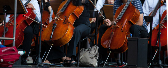 Orchestra