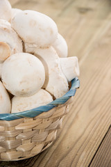 Group of Mushrooms in a basket
