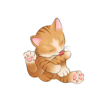 014 Katzenbaby Kitten putzen Zunge Baby