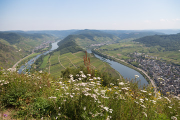 Bend of the Moselle rover near Bremm, Germany