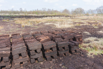 Peat digging in Dutch rural landscape