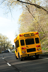 Obraz premium Short Bus