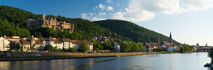 Fototapeta na wymiar Heidelberg na Neckar