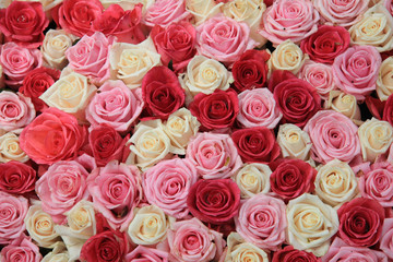 Obraz na płótnie Canvas White and pink roses in arrangement