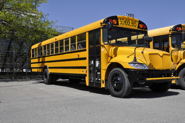 one yellow school bus
