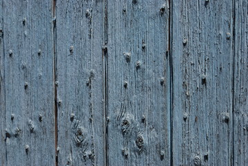 Fototapeta premium bois bleu