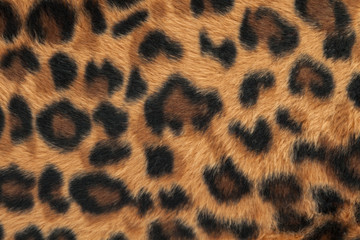 leopard or jaguar skin pattern background