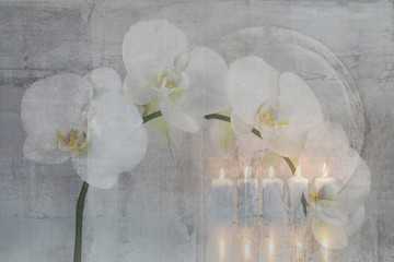 Mystisch, Orchidee mit Kerzen