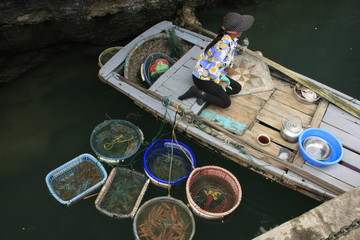 Fototapeta na wymiar Hawker in a boat, Halong bay, Vietnam