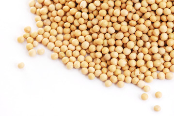 the soya beans