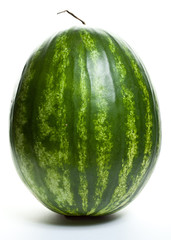 Huge watermelon