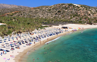 Vai beach and the palm tree forest at Crete island in Greece