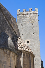 Medieval tower. Tarquinia. Lazio. Italy.