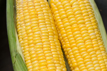 Fresh corn cobs