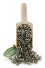 Dried Herbs Series - Sage