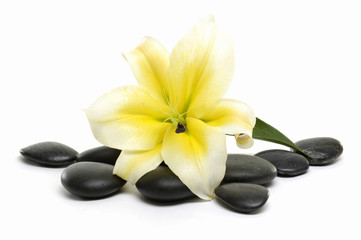 spa stones and lily isolated