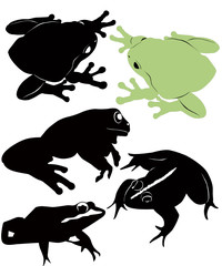 frog vector isolated on white background