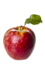 roter apfel mit blatt