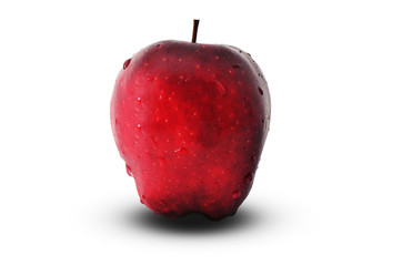 Red apple in the white background
