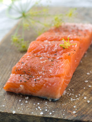 salmon